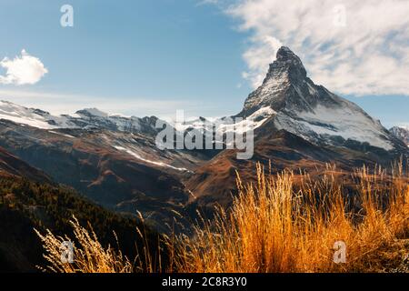 Goldenes Herbstgras umrahmt das atemberaubende Matterhorn auf einem Wanderweg in den Wallischen Alpen der Südschweiz, neu im Dorf Zermatt Stockfoto