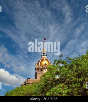 Savannah Rathaus Dom und Flagge Stockfoto