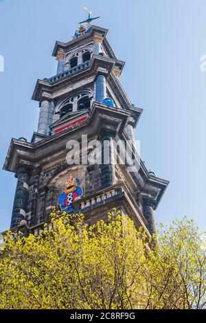 Westerkerk (Westkirche) in Amsterdam, Niederlande. Stockfoto