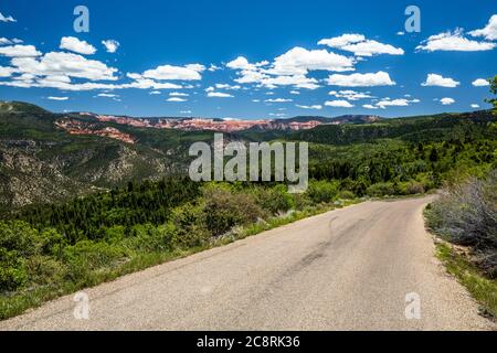 Kleine Straße, die durch grüne Hügel zu den roten Felsen des Cedar Breaks National Monument im Süden Utahs führt. Stockfoto