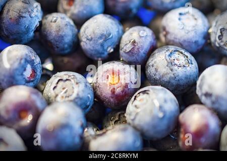 Nahaufnahme der mit Wasser gewaschenen Blaubeeren. Stockfoto
