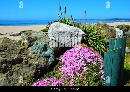 Seacliff Beach in Aptos, Kalifornien Stockfoto