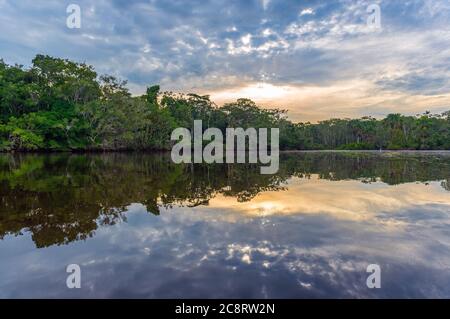 Amazonas Regenwald Sonnenuntergang Reflexion, das Amazonas-Flussbecken in Brasilien, Bolivien, Peru, Ecuador, Bolivien, Kolumbien, Venezuela, Guyana, Suriname gefunden. Stockfoto
