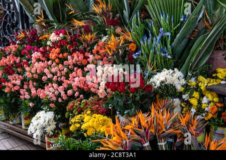Blumen stehen auf dem Freiluftmarkt in Casablanca, Marokko, zum Verkauf Stockfoto