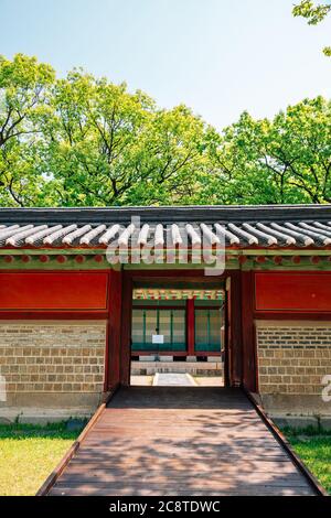 Koreanische traditionelle Architektur mit sommergrünen Bäumen am Jongmyo-Schrein in Seoul, Korea Stockfoto