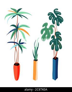 Pflanzen in Töpfen flache Vektor-Illustrationen Set Stock Vektor