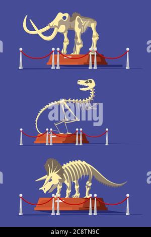 Ausgestorbene Tiere Knochen Vektor Illustrationen Set Stock Vektor