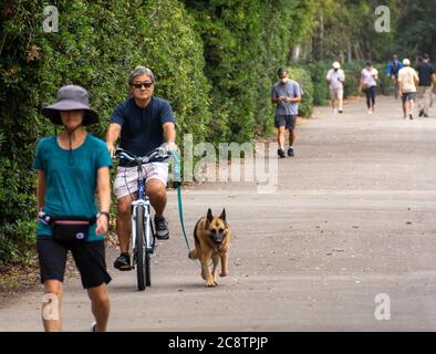 Der Mensch, der das Mandat der Gesichtsmaske ignoriert, radelt im Park mit Hund, da andere Menschen, die Masken tragen, hinter ihm herumlaufen, Handys überprüfen und nicht trainieren. Stockfoto
