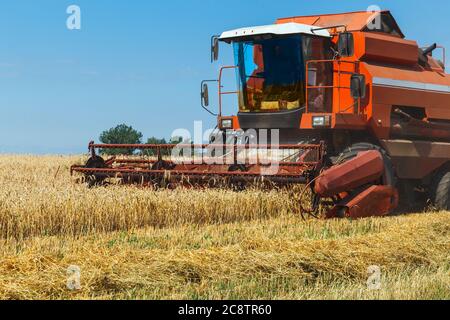 Der Mähdrescher erntet reifen Weizen im Getreidefeld. Landwirtschaftliche Arbeit im Sommer. Detail der Combine Nahaufnahme. Stockfoto
