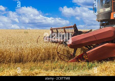 Der Mähdrescher erntet reifen Weizen im Getreidefeld. Landwirtschaftliche Arbeit im Sommer. Detail der Combine Nahaufnahme. Stockfoto