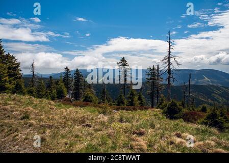 Schöne Jeseniky Berge Landschaft mit Praded Hügel von Spaleny vrch Hügel oberhalb Kouty nad Desnou in Tschechien während schönen Frühlingstag Stockfoto