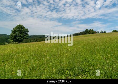 Schöne Galle Karpaty Berge über Nedasova Lhota Dorf auf tschechisch - slowakischen Grenzland mit Wiesen, Bäumen und Hügeln von Wald während s bedeckt