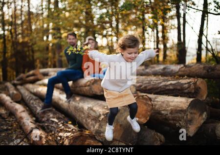 Kleines Mädchen mit Eltern auf einem Spaziergang im Herbstwald, springen. Stockfoto
