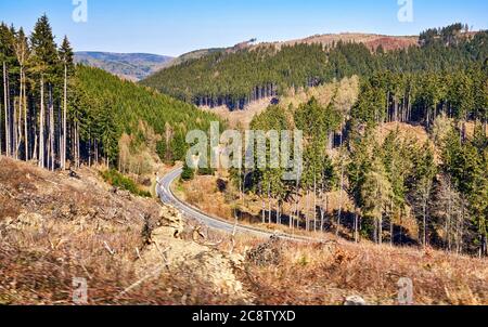 Landstraße zwischen Bäumen in den Bergen. Dynamik durch Bewegungsunschärfe. Stockfoto