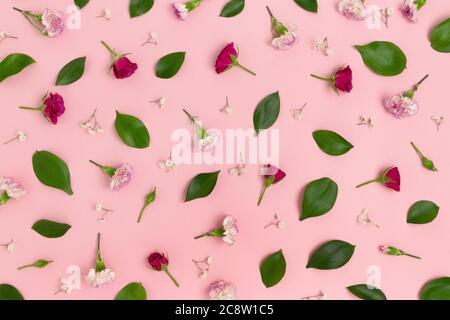 Muster aus Rosen, Gypsophila und Nelkenblumen auf rosa Hintergrund. Florale Struktur. Stockfoto