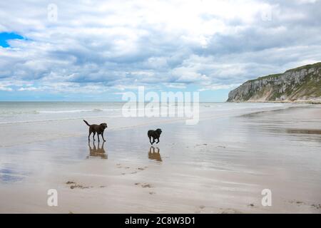 Sommer in Hunmanby Gap, North Yorkshire Coast während der Aussperrung am 2020. Juli Stockfoto