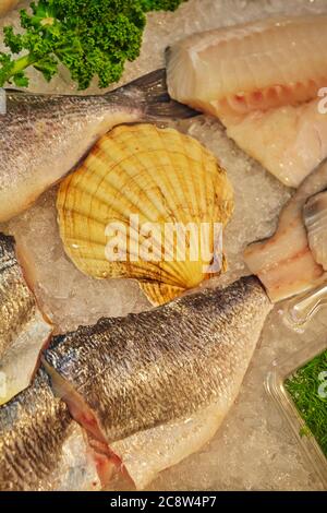 Fischfilets (von Bass) zum Verkauf auf Eis in einem Markt. Großbritannien. Stockfoto