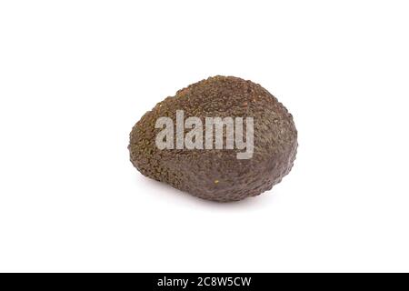 Eine grüne Avocado isoliert auf weißem Hintergrund Stockfoto