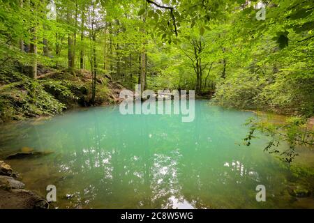 Ochiul Beiului, ein kleiner smaragdgrüner See an der Nera-Schlucht im Beusnita-Nationalpark in Rumänien Stockfoto