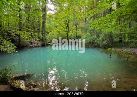 Ochiul Beiului, ein kleiner smaragdgrüner See an der Nera-Schlucht im Beusnita-Nationalpark in Rumänien Stockfoto