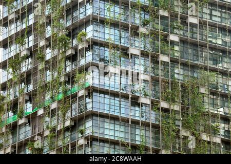 Hängende Pflanzen kaskadieren von Blumentfenstern entlang der Außenfassade eines Öko-Glasgebäudes in Kuala Lumpur, Malaysia Stockfoto