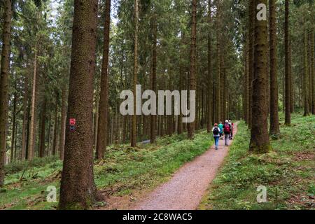 Wandern im Sauerland, Wanderweg bei Jagdhaus, am Rothaarsteig, Ortsteil Schmallenberg, NRW, Deutschland, Stockfoto