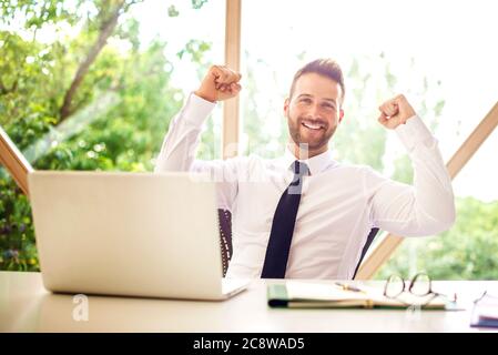 Fröhlicher Geschäftsmann feiert mit erhobenem Arm in der Luft, während er an einem Schreibtisch in seinem Heimbüro sitzt und an einem Laptop arbeitet. Heimbüro. Stockfoto