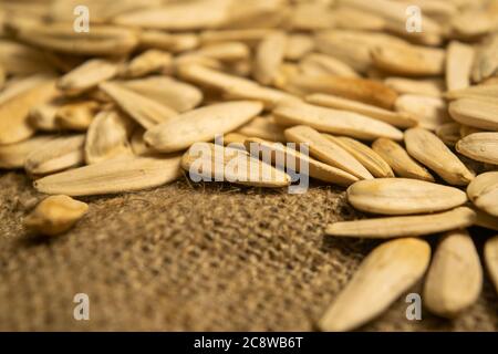 Weiße Sonnenblumenkerne gebraten mit Meersalz in der Masse auf einem Hintergrund von grob-strukturierten Quappen. Nahaufnahme Stockfoto