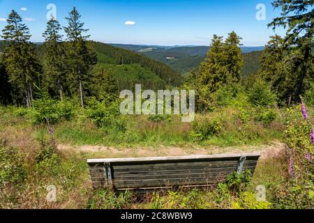 Wandern im Sauerland, auf dem Rothaarsteig, hier am Jagdhaus, Kreis Schmallenberg NRW Stockfoto