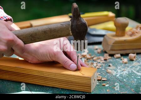 Zimmermannhände schlagen mit Hammer den Nagel auf Holz. Holzschnittkonzept. Stockfoto