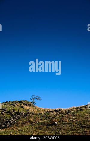 Snowdonia Winter Bilder Stockfoto