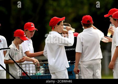 Junge Cricketspieler machen eine Pause und genießen Limonade an einem warmen Frühlingstag in Victoria, Australien Stockfoto