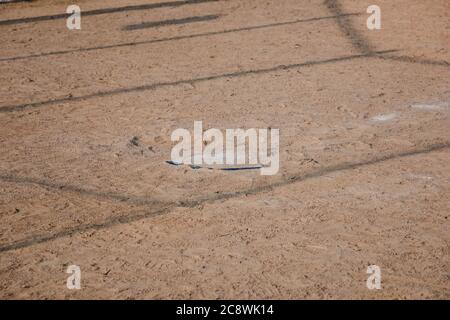 Blick auf Heimplatte in einem Baseball-Diamanten in einem Stadtpark Stockfoto
