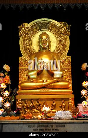 Sitzende goldene Buddha-Statue in einem buddhistischen Tempel in Mulagandhakuti vihara, Sarnath, Varanasi. Stockfoto