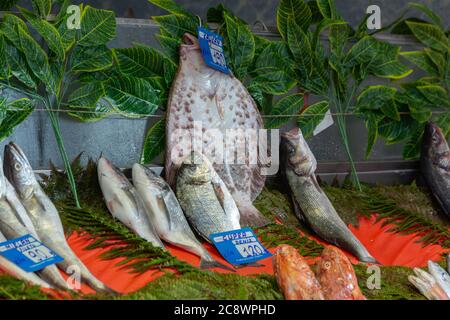 Frische Fische auf einem Fischmarkt Zähler. Mit Brassen, Seebarsch, Steinbutt Fisch, Pinselzähne Echsenfisch, Hogfish mit ihren Preisen in Istanbul. Stockfoto