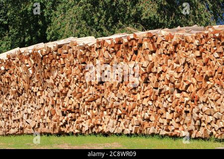 Holzstapel aus frisch geernteten Fichtenstämmen. Baumstämme im Wald geschnitten und gestapelt. Holzstämme Stockfoto
