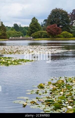 Bäume in voller Blatt Sheffield Park National Trust Gärten in Sussex. Stockfoto