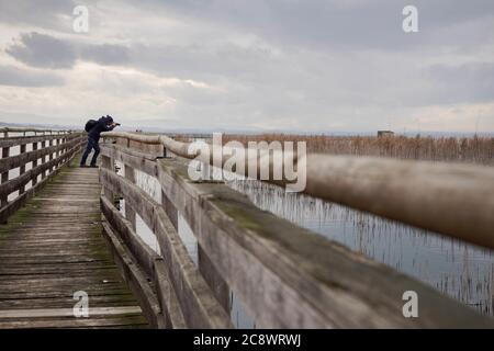 MAGIONE, ITALIEN - 05. Jan 2016: Mann auf einer Holzbrücke fotografiert die Landschaft der naturalistischen Oase von 'La valle' im See von Trasimeno in Stockfoto