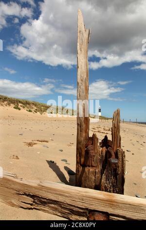 Holzschutz und Leuchtturm am Spurn Point, in der Nähe von Kilnsea, East Yorkshire, Großbritannien. Stockfoto