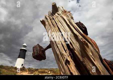 Holzschutz und Leuchtturm am Spurn Point, in der Nähe von Kilnsea, East Yorkshire, Großbritannien. Stockfoto