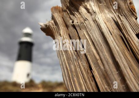 Holzschutz und Leuchtturm am Spurn Point, in der Nähe von Kilnsea, East Yorkshire, Großbritannien. Stockfoto