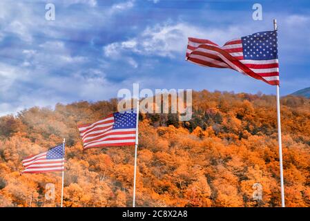 Wehende amerikanische Flaggen in Neuengland, Herbstfärbung mit orangefarbenen Farben und blauem Himmel. Stockfoto