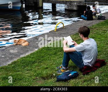 Junger Mann beim Lesen und Erwachsene Ingwerkatze an der Leine Entspannen an der Spree im Treptower Park, Mitte, Berlin Stockfoto