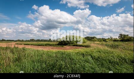 Ein landwirtschaftliches Feld in Belgien. Stockfoto