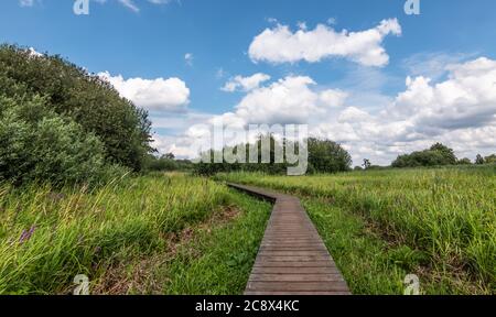 Holzsteg durch das wunderschöne Naturschutzgebiet der Antwerpener Campine in Viersel, Belgien. Stockfoto
