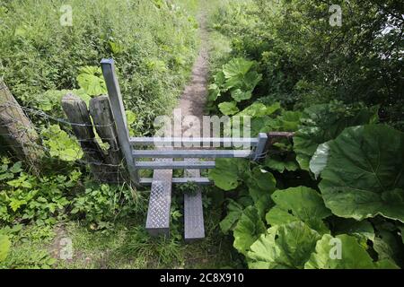 Schottland, Ayrshire, Juli 2020 Metal Stile on footpath Credit : Alister Firth Stockfoto