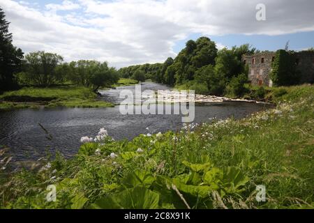 Schottland, Ayrshire, Juli 2020 Fluss Irvine bei Laigh Milton Mühle westlich von Gatehead Credit : Alister Firth Stockfoto