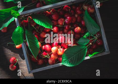 Süße Kirschen in einer Holzkiste, dunkle Stimmung, von oben geschossen Stockfoto