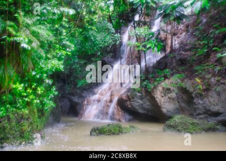 Hübsche Szene eines Wasserfalls, der über Felsen mit einem kleinen See am Fuße der Wasserfälle planscht. In Jamaika, Der Karibik Stockfoto