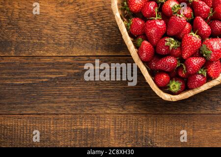 Frische Erdbeeren im Korb auf einem Holztisch, Draufsicht mit Kopierplatz. Bio Erdbeeren Ernte Stockfoto